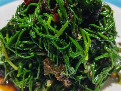 -阿西娅食府(中关村店)