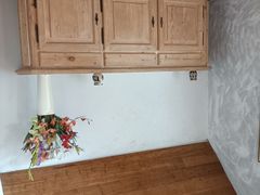 -金山农民画村-枫泾波兰倒置屋