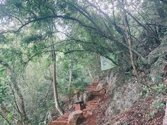 -普者黑风景区-青龙山