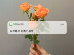 -循礼门鲜花花市(武汉循礼门店)