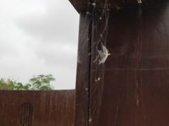 -春花秋色城市公园