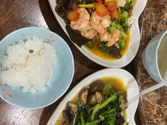 -田螺阿姨自营月嫂·育儿嫂(高新店)