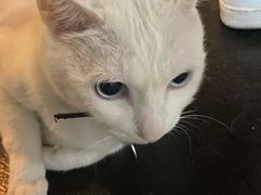 -Doors独立剧情密室(东门分店)