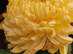 -上名堂·鱼头好吃(体育场路店)