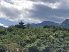 -白水寺森林公园