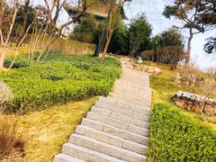 -迎泽公园