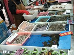 -大湾区中央湿地公园-十九涌