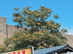 -大境门景区