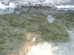 -大平台龙居瀑布旅游区