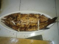 馕坑烤狗鱼-二毛馕坑肉饭店