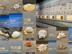 -舟山博物馆