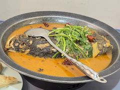 -来相会饺子·新辽菜(甘家口店)