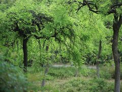 -白塘生态植物园