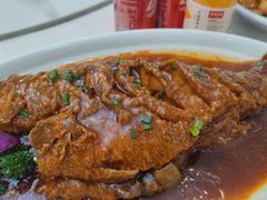 红烧鲈鱼-普天和酒楼·新津菜·烤鸭(天津之眼店)
