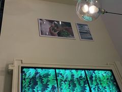 -小杨生煎(龙阳广场店)
