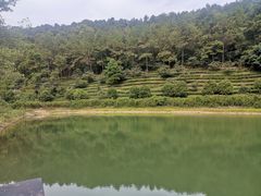 -九龙潭景区