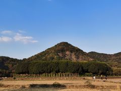 -八卦田遗址公园
