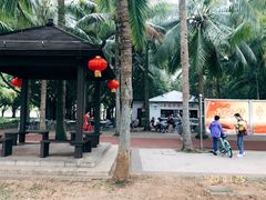 -万绿园