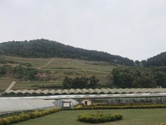 -普迪生态园