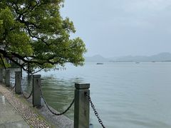 -西湖外事游船(花港观鱼码头)