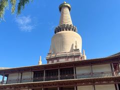 -张掖大佛寺景区