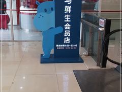 -盒马鲜生(大成店)