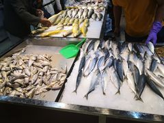 -鑫福隆生鲜超市(沈营大街店)