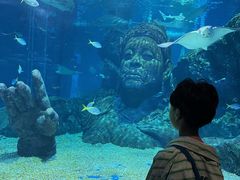 -暹罗海洋世界