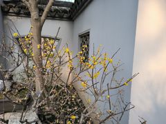 -无锡梅园公园