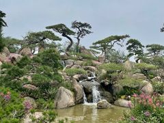 -罗红摄影艺术馆