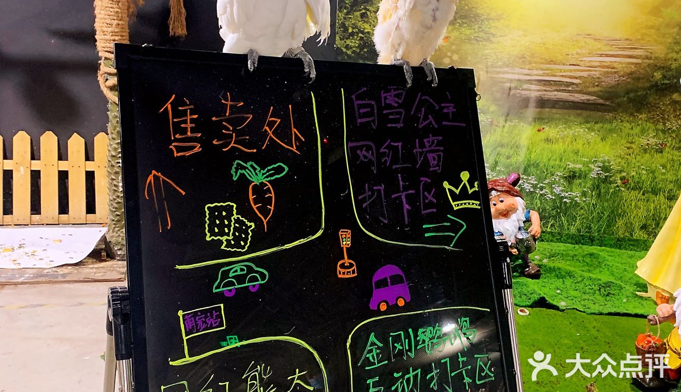 🉑爱治愈系小动物谁能不爱？周末亲子游宝藏地，济南萌宠乐园