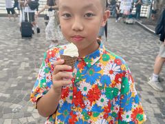 -富豪雪糕车流动点(尖沙咀店)