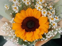 -循礼门鲜花花市(武汉循礼门店)