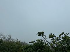 -海南铜鼓岭景区