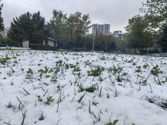 -唐城墙遗址公园