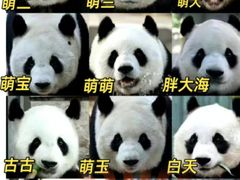 -北京动物园