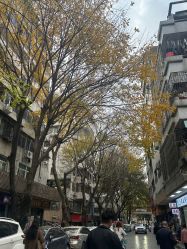 -广州曙光医学美容医院