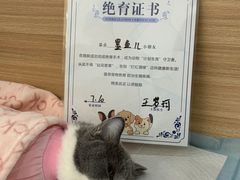 -达爱动物医院·犬猫分区·CT·复杂眼科(远洋山水分院)