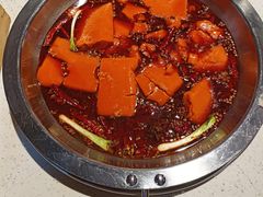-清真·天府皇城坝百年牛肉火锅(皇城清真寺店)