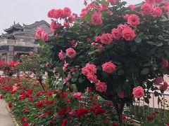 -武汉园博园(武汉自然博物馆)