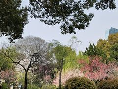 -无锡蠡湖国家湿地公园-蠡园