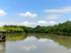 -大湾区中央湿地公园