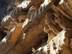 -秦始皇帝陵博物院-丽山园