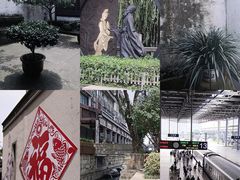 -绍兴鲁迅故里·沈园景区