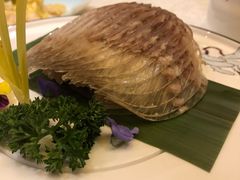 水晶肘-同和居(月坛店)
