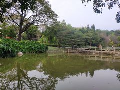 -云溪植物园