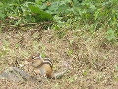 -长春市南湖公园