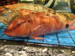 -聚福宝合苑食府(南头镇店)