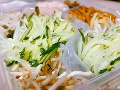 -杨姨妈丝娃娃(花果园店)