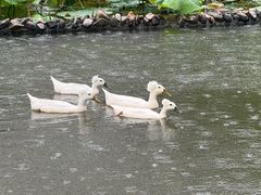 -苏州河梦清园环保主题公园